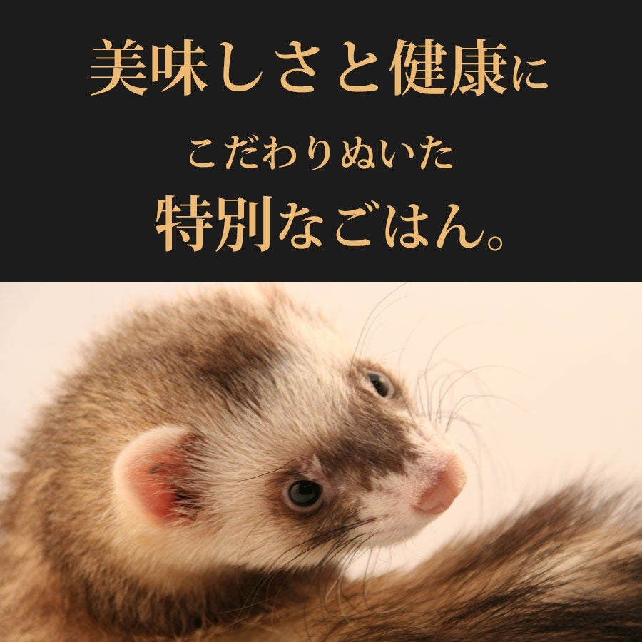 フェレットフード ジャパンフェレミアム 匠味 240g ヘルスチャージ