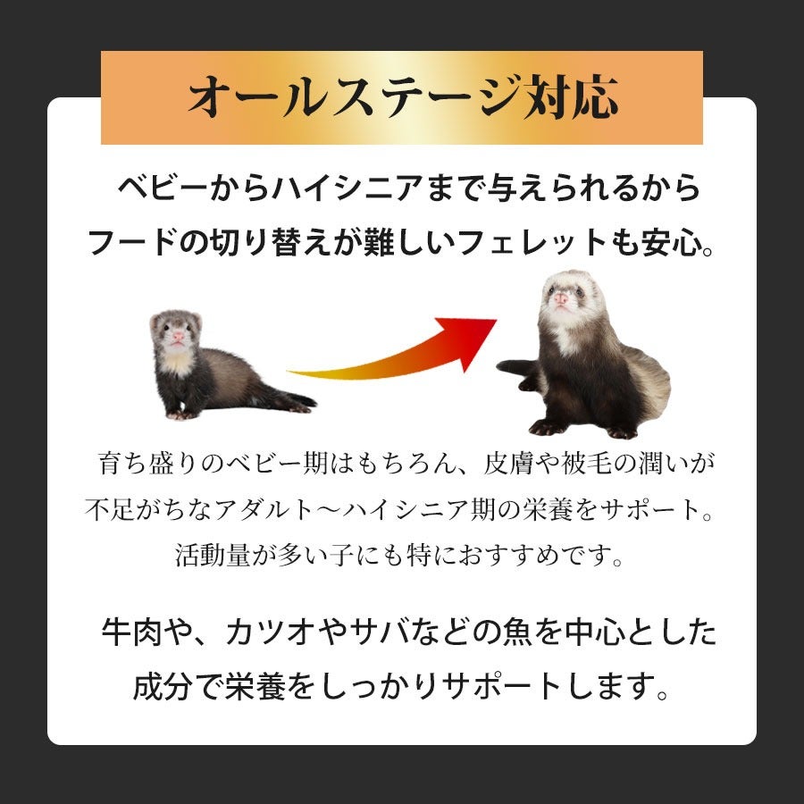 フェレットフード ジャパンフェレミアム 匠味 240g ヘルスチャージ