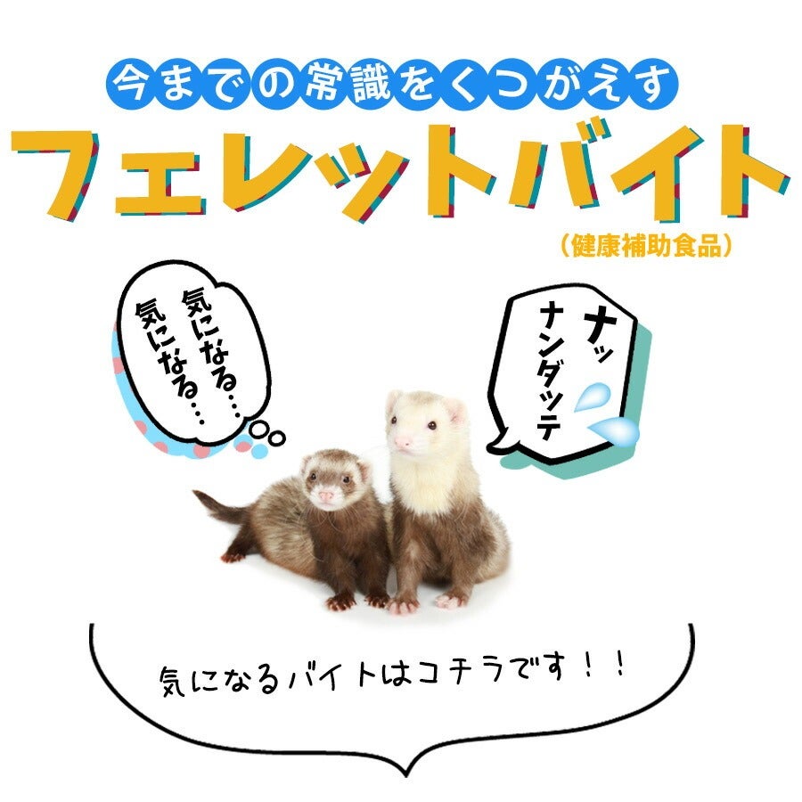ヘルスチャージ-F フェレット用健康補助食品バイト（3g×30本入り