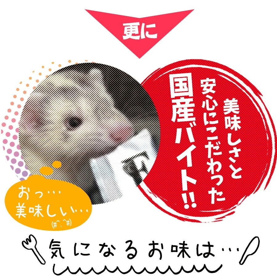 お買い得】【まとめ売り】ヘルスチャージ-F フェレット用健康補助食品