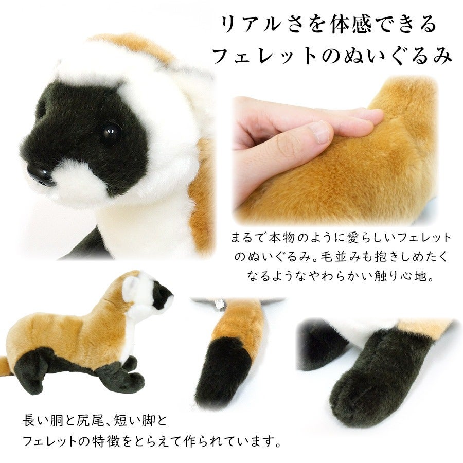 フェレットぬいぐるみ Mサイズ(SM062) | フェレットワールド WEB SHOP