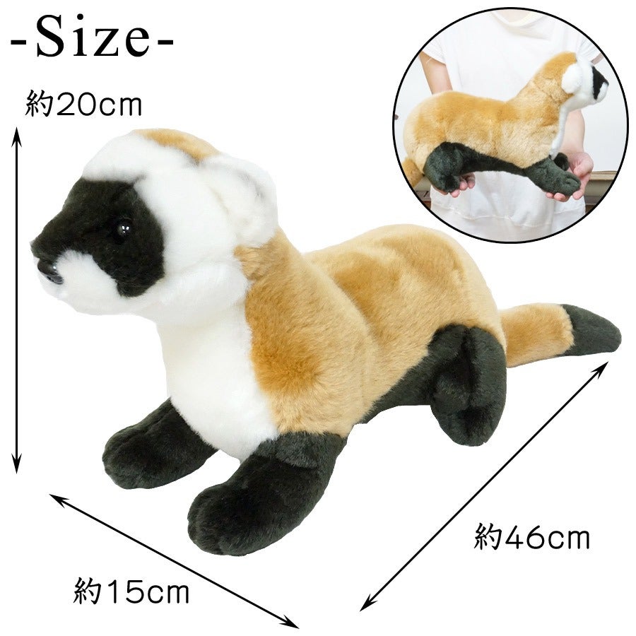 000000003088-03.jpg?size=l&w=
