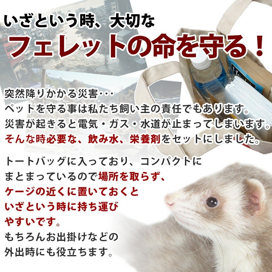 セット商品】フェレット防災セット トート付き【フェレットワールド