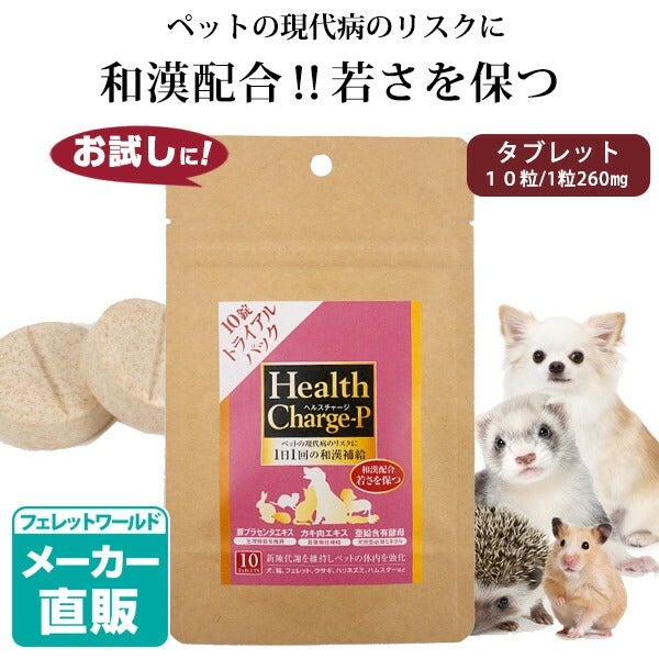 正規品】ヘルスチャージ-S 高栄養パウダーフード500g【栄養補給