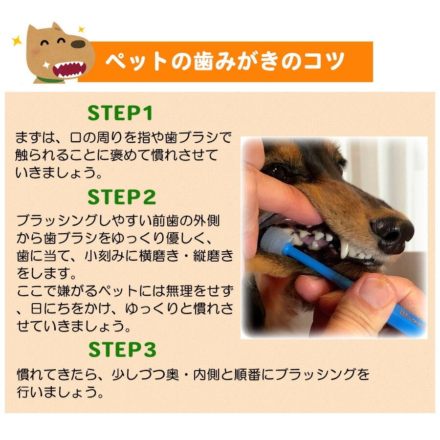 ワンキャッチ（Wancatch）歯ブラシ Sサイズ（超小型犬・猫・小動物
