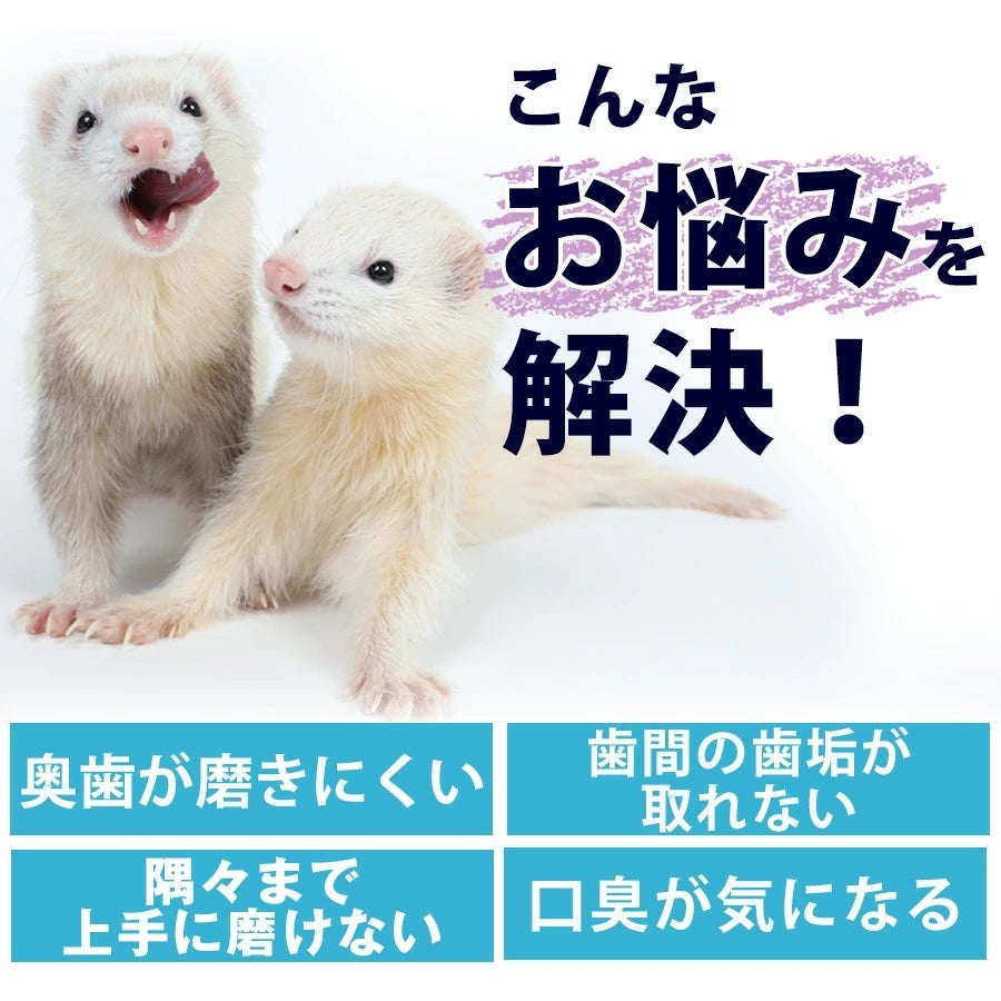 ワンタフト 「MICLIN」 S 歯ブラシ (やわらかめ) 【メール便可