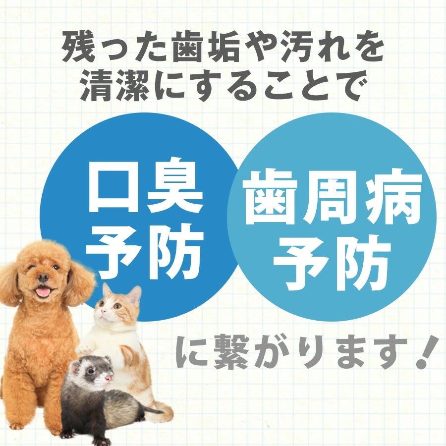 ワンタフト 「MICLIN」 S 歯ブラシ (やわらかめ) 【メール便可