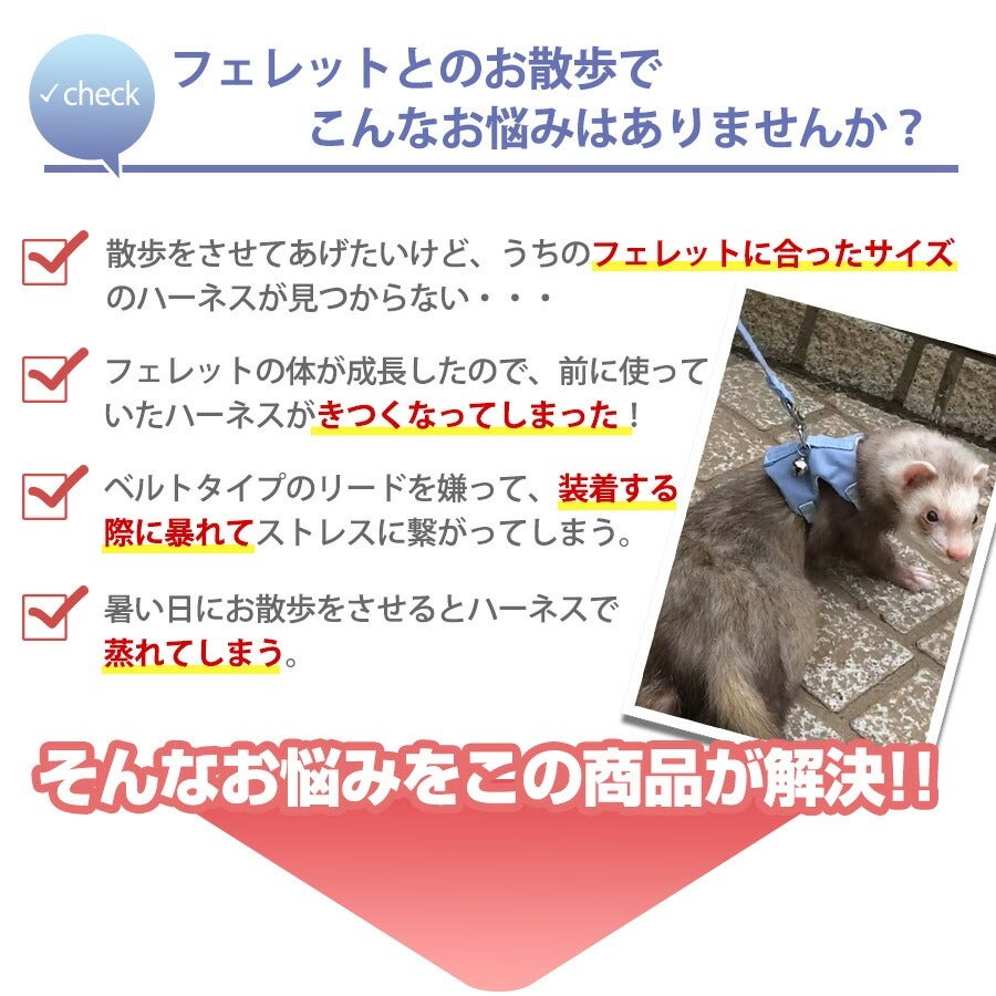 フェレットハーネス 確認用 000000004127-03.jpg?size=l&w=