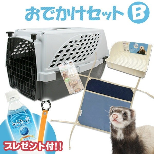 【フェレット専用】キャリーケースセット ハードキャリー | フェレットワールド WEB SHOP