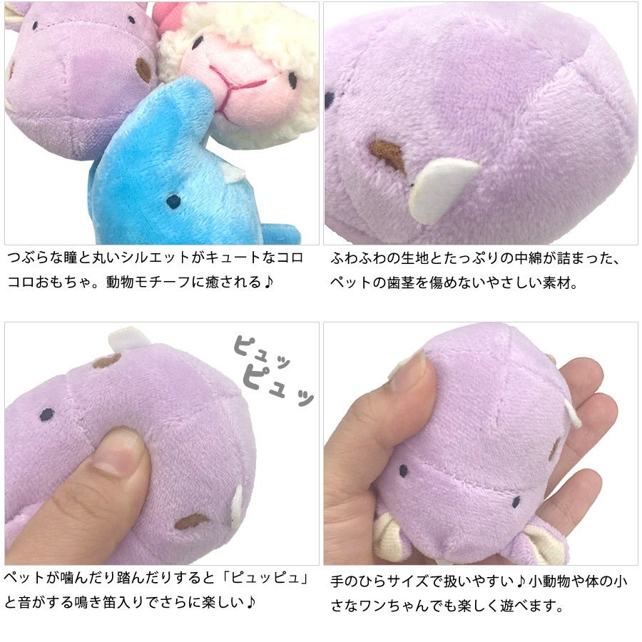 ペッツルート まんまるズーズー | フェレットワールド WEB SHOP