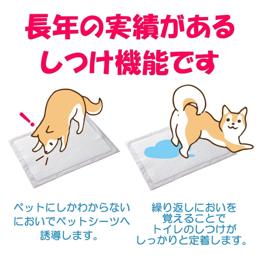 ケース販売】しつけるシーツ幼犬用neo レギュラー （40枚入り×6袋