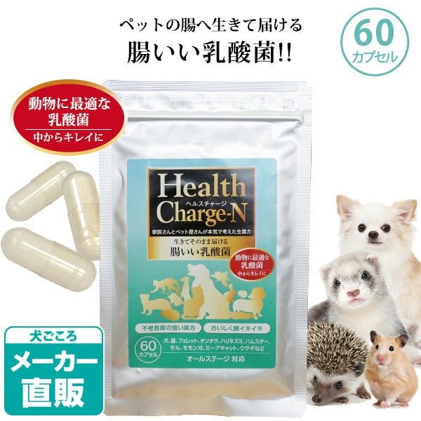 ペット サプリメント｜アニマストラス 顆粒タイプ100g｜酵素 食欲不振