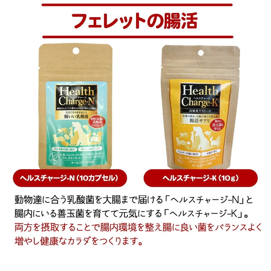 フェレット サプリメント｜組み合わせセット2 ｜乳酸菌 ケストース
