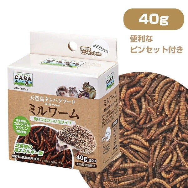 マルカン CASA ワイルドメニュー ミルワーム 40g（缶入り