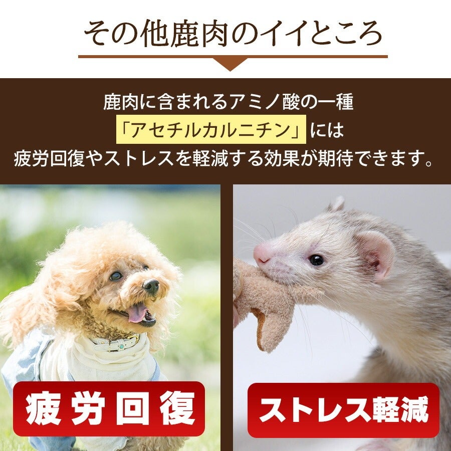 ペット おやつ｜超極み 知床産天然エゾシカジャーキー 50g｜国産 低