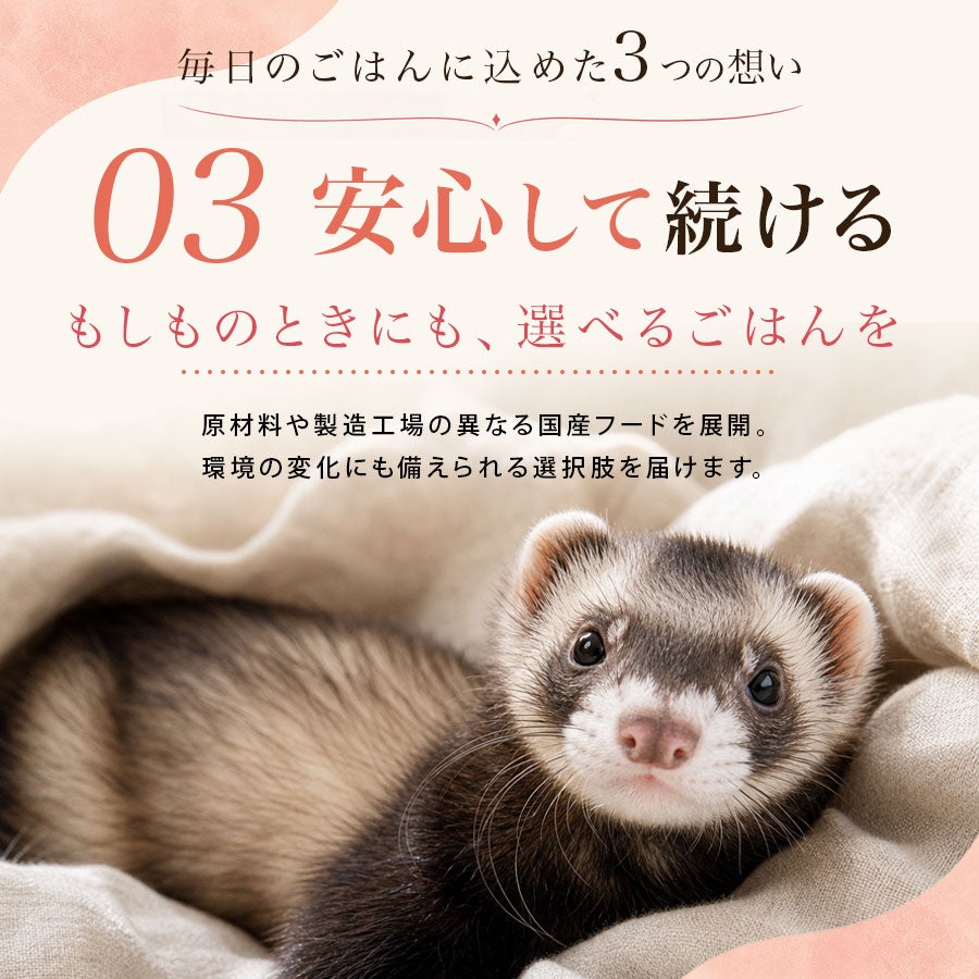 フェレットフード｜ジャパンフェレミアム グルメ 300g ｜国産 オール