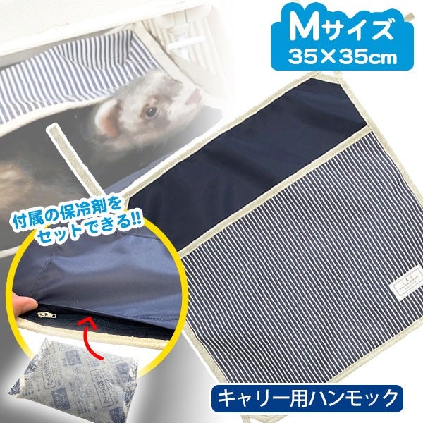 000000003884-01.jpg?size=m&w=