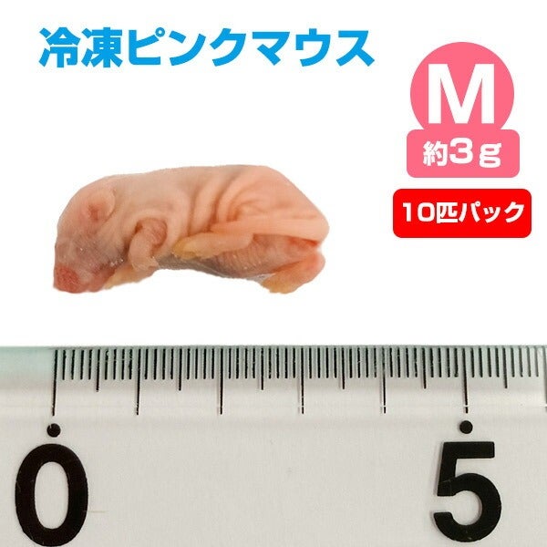 のい　送料無料　冷凍イエコＬ〜ML600グラム　ピンクマウスM50匹 000000000142-01.jpg?size=l&w=