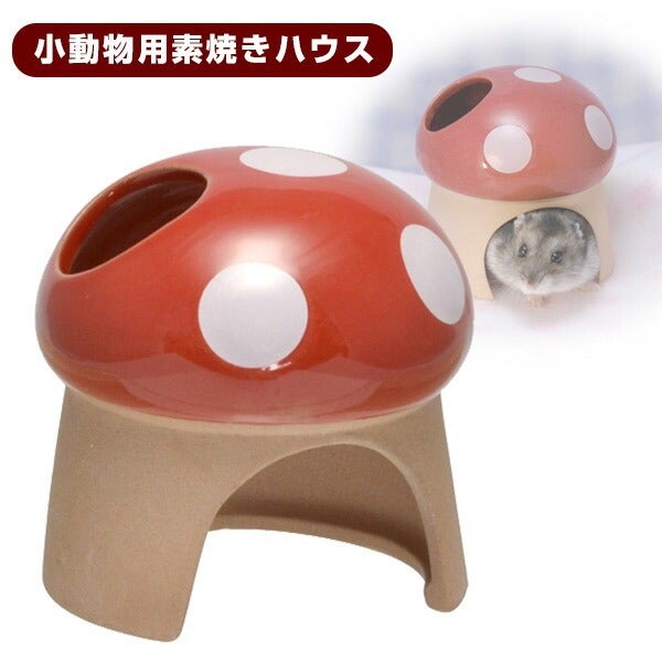 三晃商会 素焼きハウス（きのこ） （NK） | フェレットワールド WEB SHOP