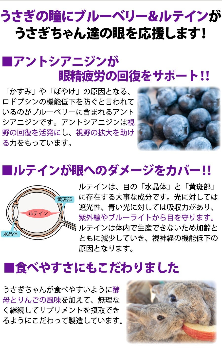 000000004006-03.jpg?size=l&w=