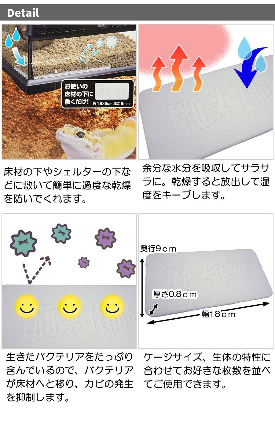 000000004007-02.jpg?size=l&w=