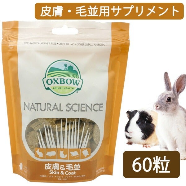 冷凍】冷凍ホッパーラット 40（約40g）10匹パック【クール便発送