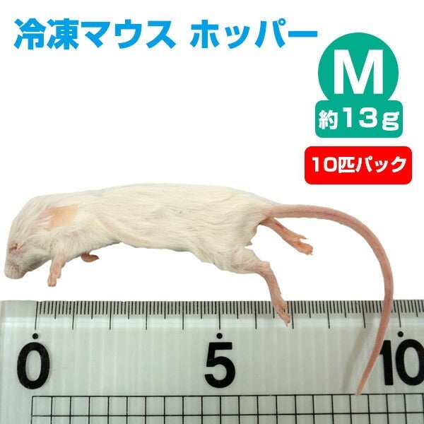 冷凍マウス（エサ） | フェレットワールド WEB SHOP
