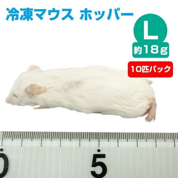 000000004032-01.jpg?size=m&w=