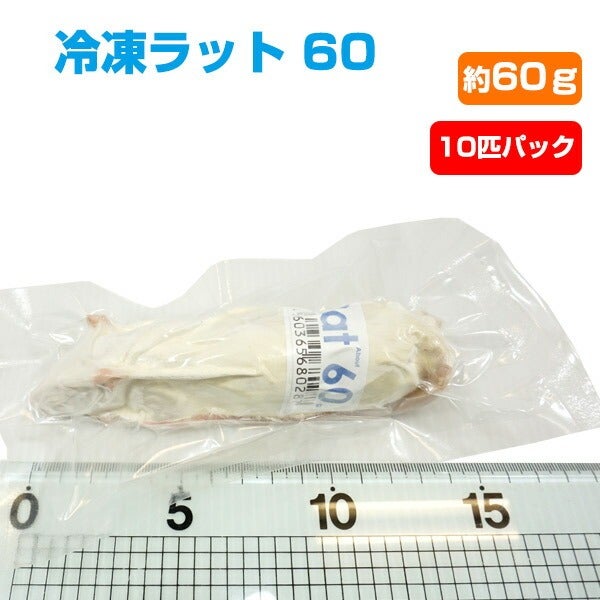 冷凍ラット 70~85g 30匹セット 冷凍】冷凍ラット 60（約60g）10匹パック（T2）【クール便発送】【常温