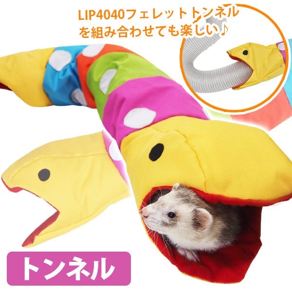 RB】カラフルスネーク（F2） | フェレットワールド WEB SHOP