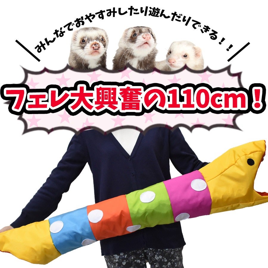 RB】カラフルスネーク（F2） | フェレットワールド WEB SHOP