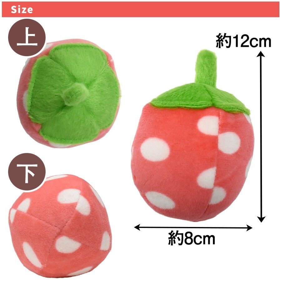 RB】レインボートイ いちご（F2） | フェレットワールド WEB SHOP