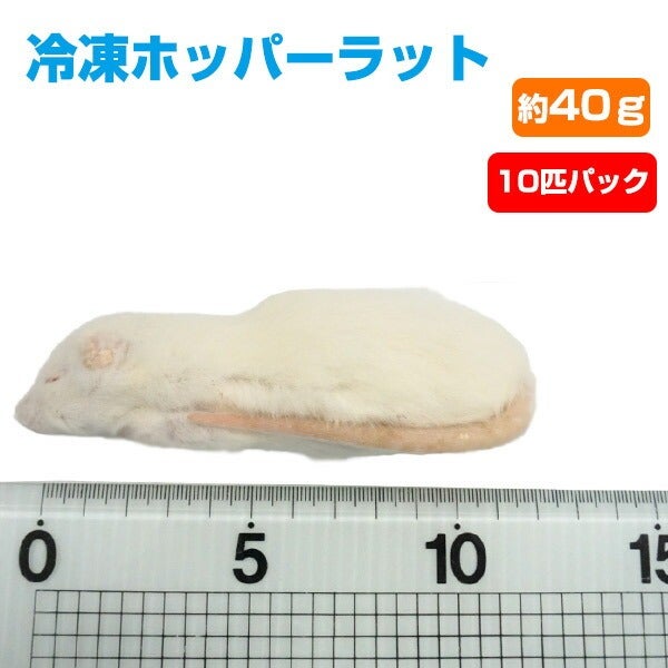 冷凍ラット　ご予約品　酒井様 冷凍】冷凍ホッパーラット 40（約40g）10匹パック【クール便発送