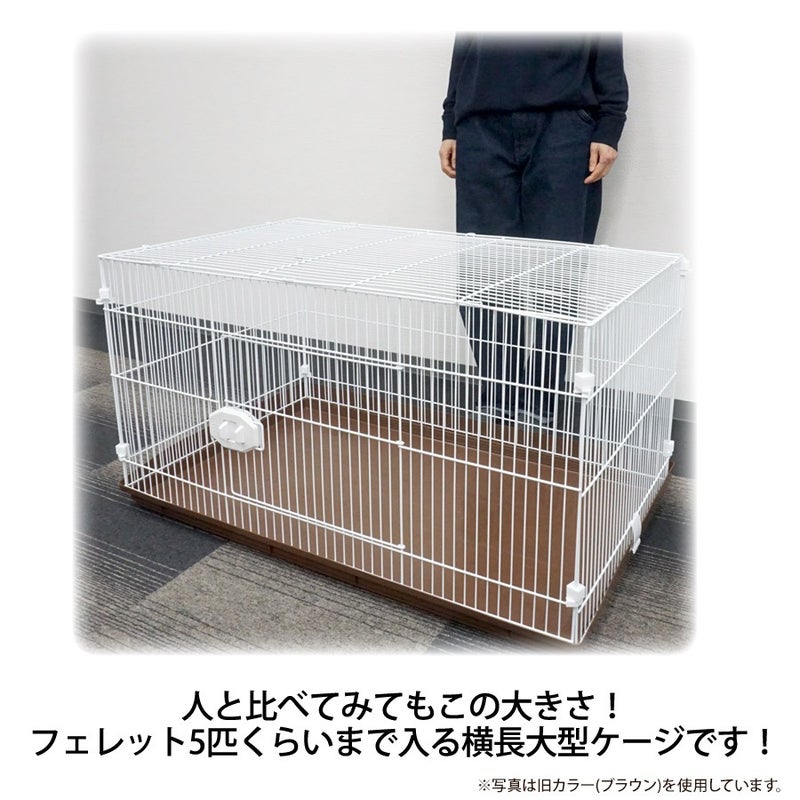 000000004197-05.jpg?size=l&w= 