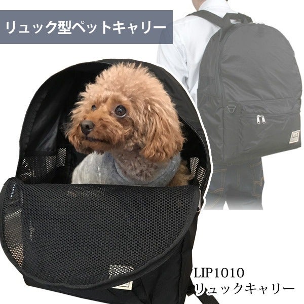 000000004212-01.jpg?size=l&w= 000000004212-01.jpg?size=l&w=