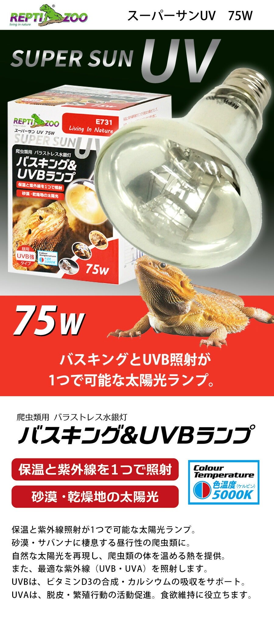 000000004226-02.jpg?size=l&w=