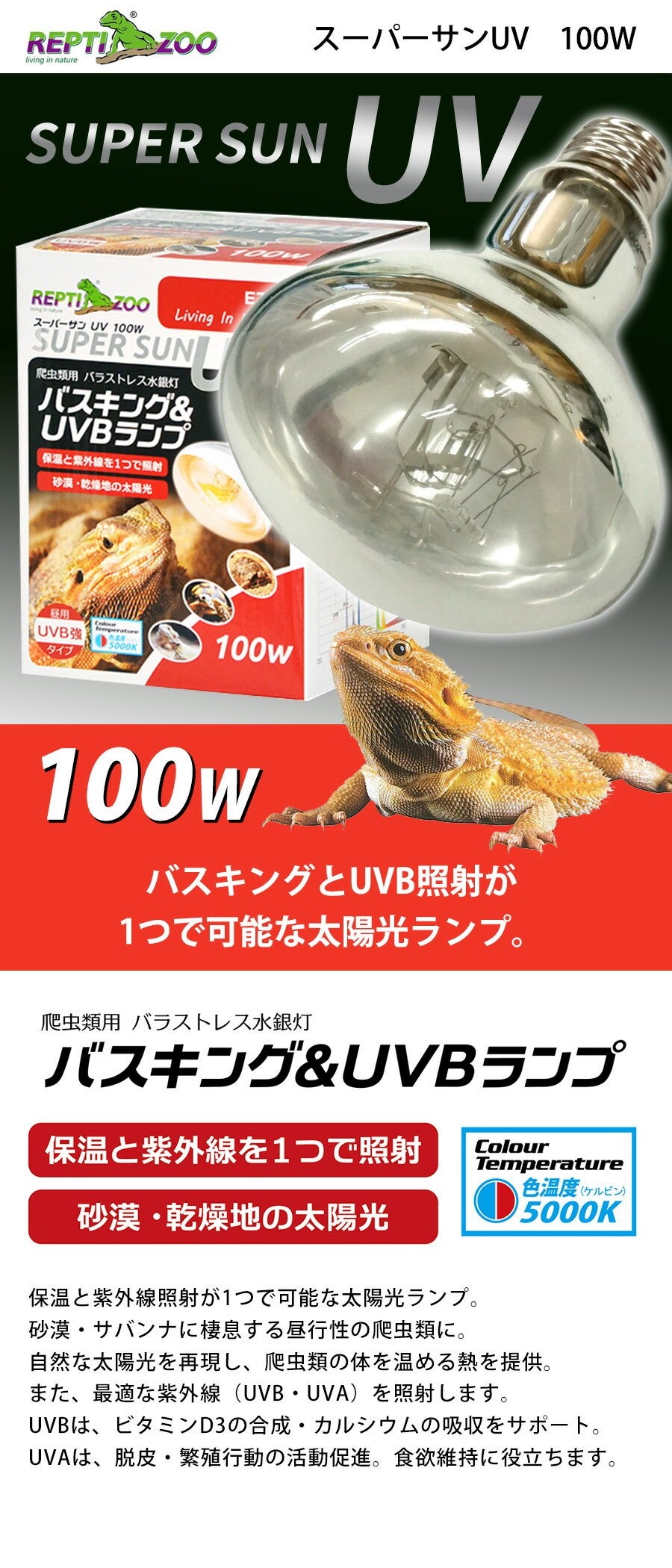 000000004227-02.jpg?size=l&w=