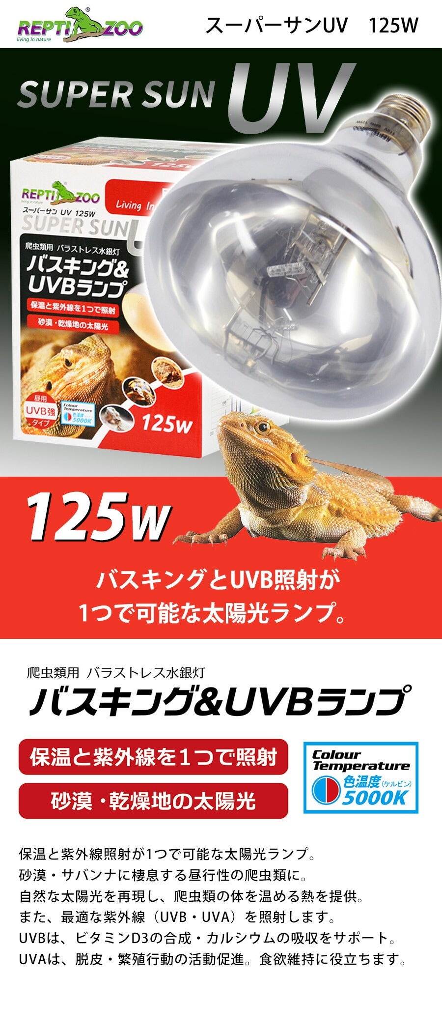 000000004228-02.jpg?size=l&w=