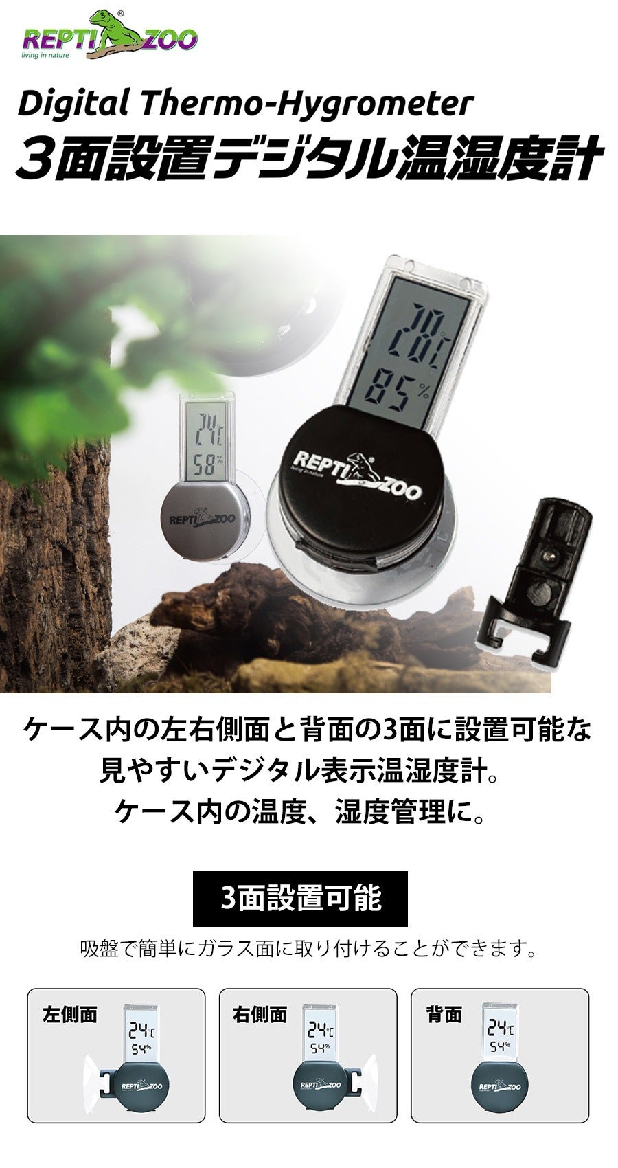 000000004234-02.jpg?size=l&w=