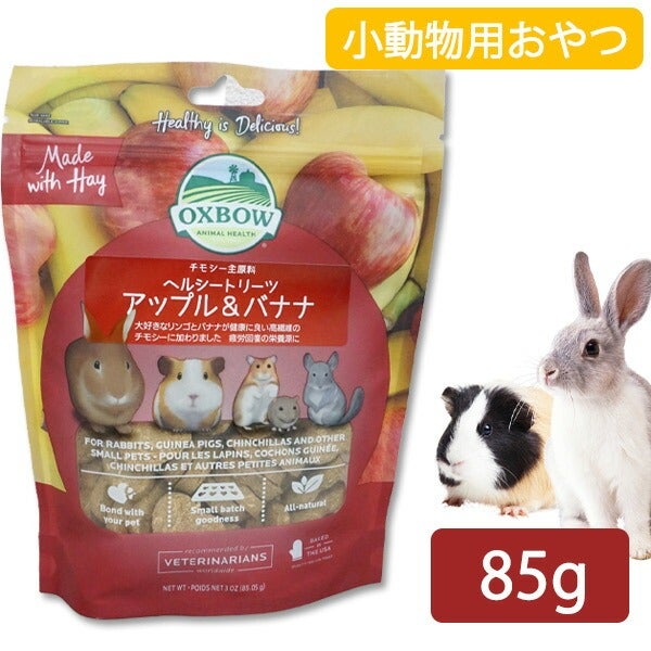 はじめてのチンチラ飼育 | フェレットワールド WEB SHOP