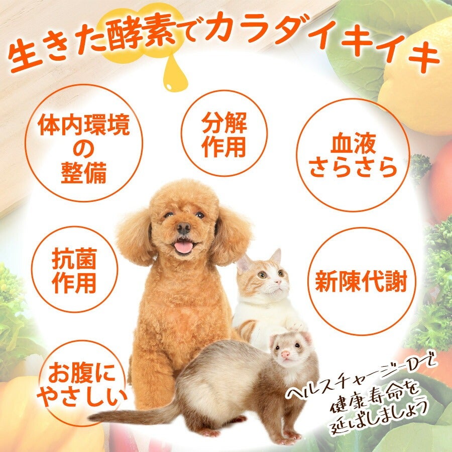 ペット サプリメント｜ヘルスチャージ-D 50ml｜国産 健康補助食品