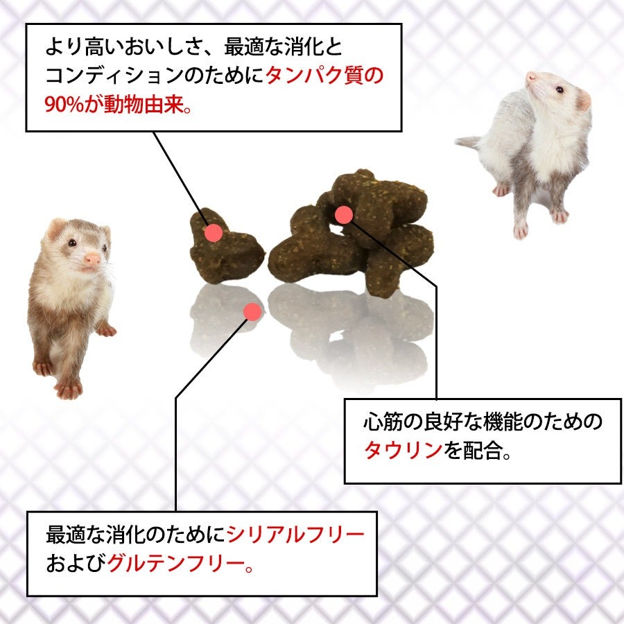 ヴァーセレ・ラガ コンプリート フェレット 2.5Kg【低アレルギー