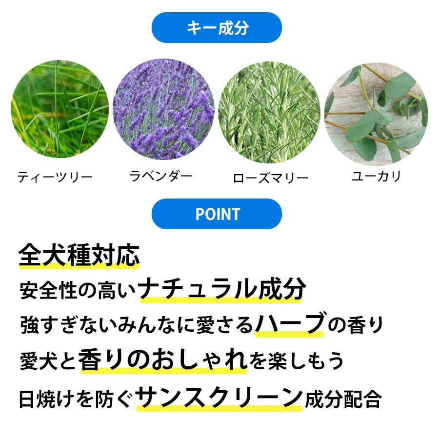 A.P.D.C. デオエチケットスプレー 125ml【香水】 | フェレットワールド