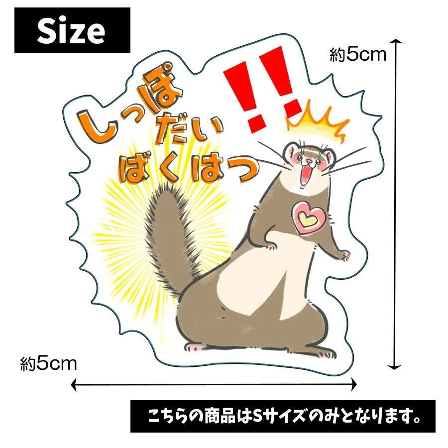フェレットグッツ｜しっぽだいばくはつ｜ UV加工 防水｜フェレットワールド
