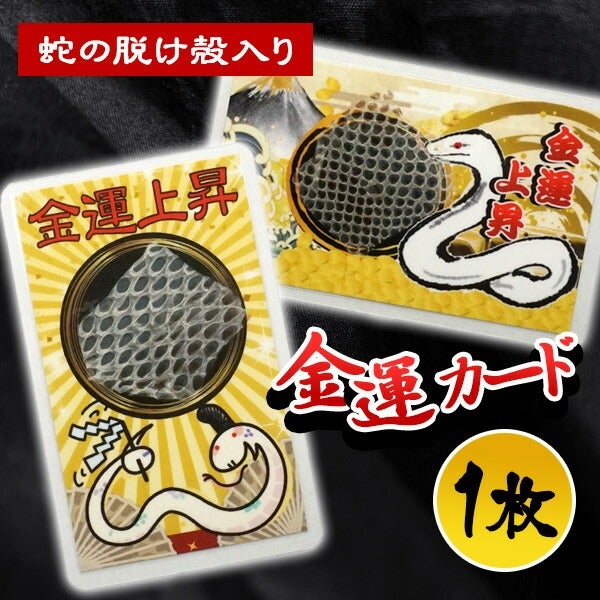 【金運UP】ヘビの抜け殻 金運カード（蛇の抜け殻入り）【メール便可】 | フェレットワールド