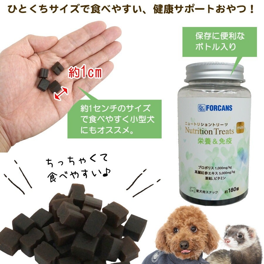 フォーキャンス ニュートリショントリーツミニ 栄養&免疫 | フェレット