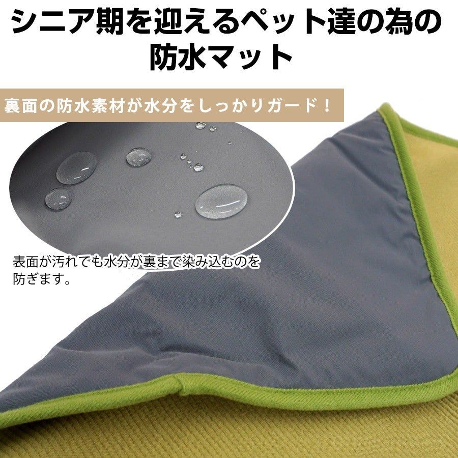 000000004655-02.jpg?size=l&w=