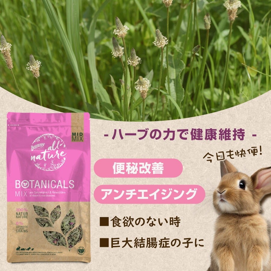 バニーネイチャー ボタニカル ミッドミックス オオバコ＆ローズ 120g