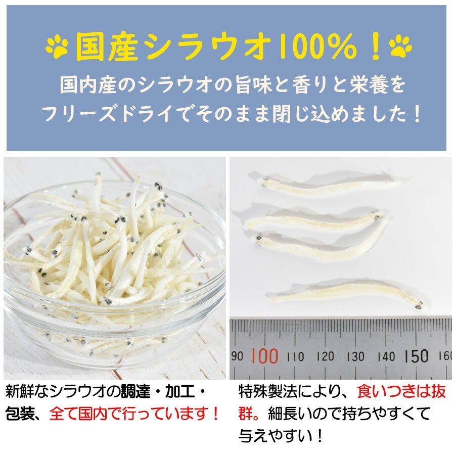 000000004694-02.jpg?size=l&w=