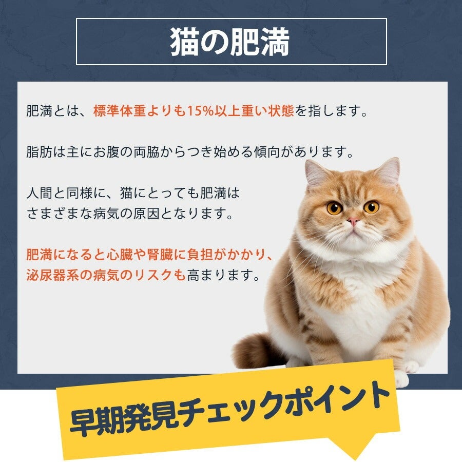 ベッツウェル 猫用食事療法食 肥満ケア 500g（NK） | フェレット